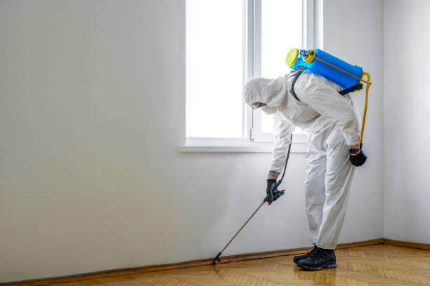 Best Residential Pest Control  in Fredericksburg, TX